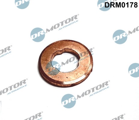 Dr.Motor Automotive DRM0178 WäRmeschutzscheibe, Einspritzanlage For CitroËN Jagu-image
