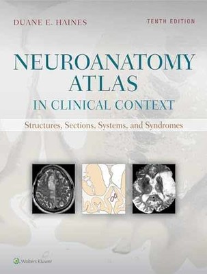 Neuroanatomy Atlas in Clinical - Paperback, by Haines PhD Duane - Very Good c