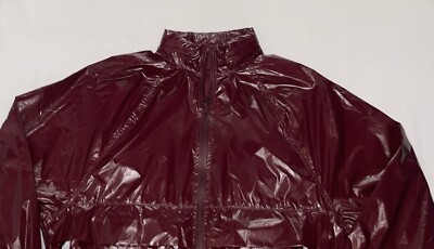 ZARA シャイニーエフェクトコート　limited edition s-l400.jpg