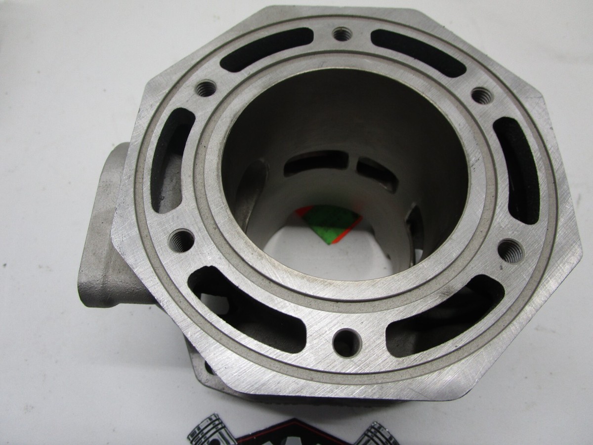 Arctic Cat ZRT Thundercat 900 Triple Engine Cylinder 91b0