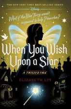 When You Wish upon a Star : A Twisted Tale Hardcover Elizabeth Li