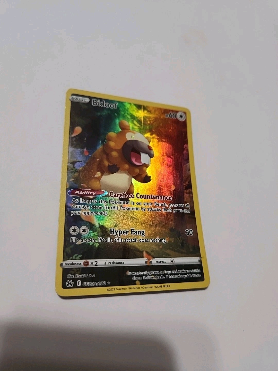 Pokemon Tcg Bidoof GG29/GG70 Crown Zenith: Galarian Gallery Holo NM