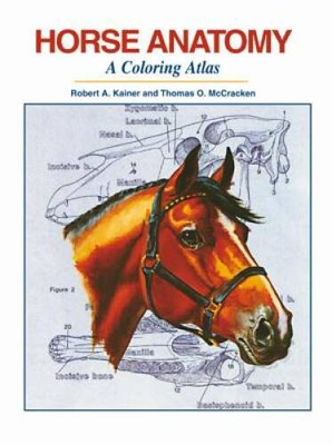 #ad #ad Horse Anatomy : A Coloring Atlas 2nd Edition Spiral bound VERY GOOD $25.42