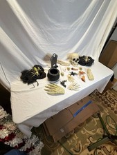 Assorted Halloween Spooky Graveyard Prop Set