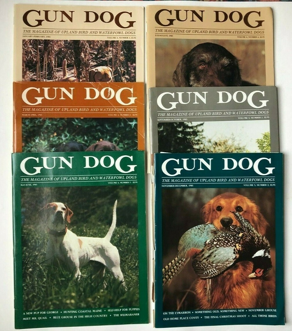 Gun Dog Magazine Lot 1985 Very Good condition FREE SHIP eBay