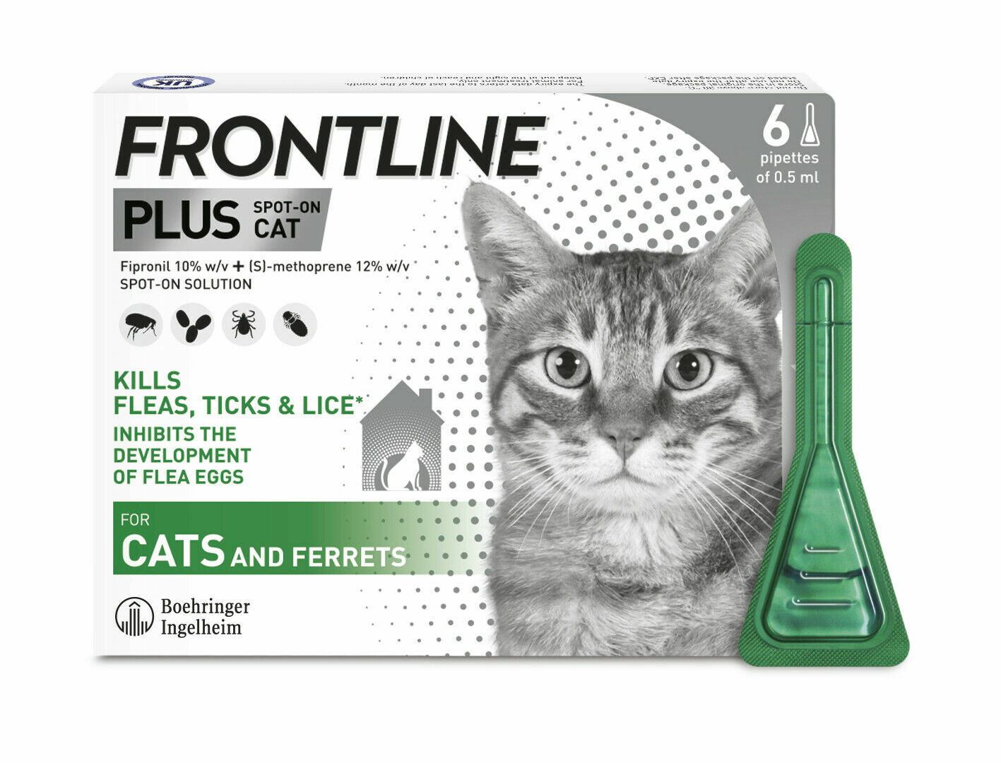 frontline spot on 6 pack