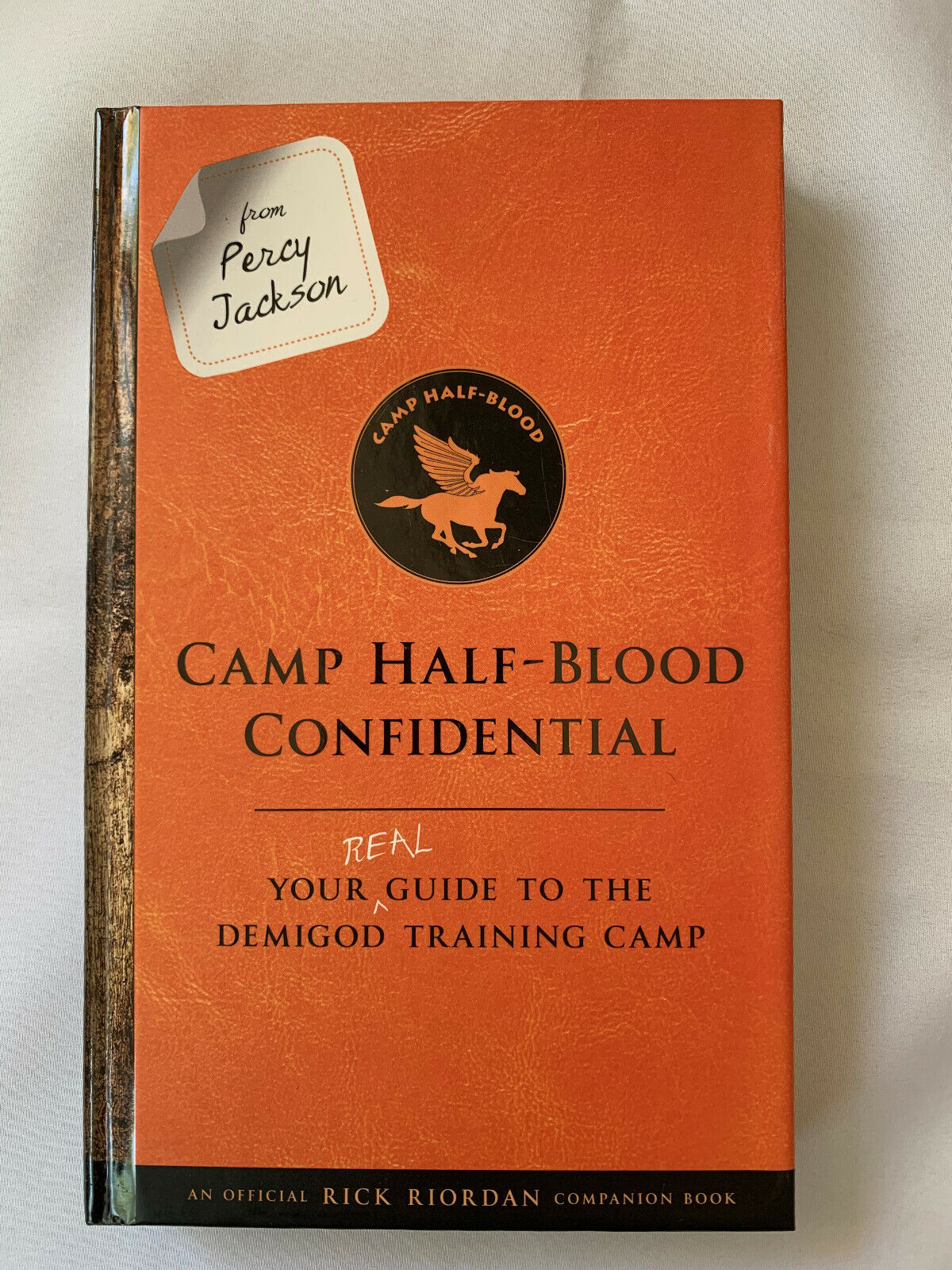 Camp Half-Blood Confidential