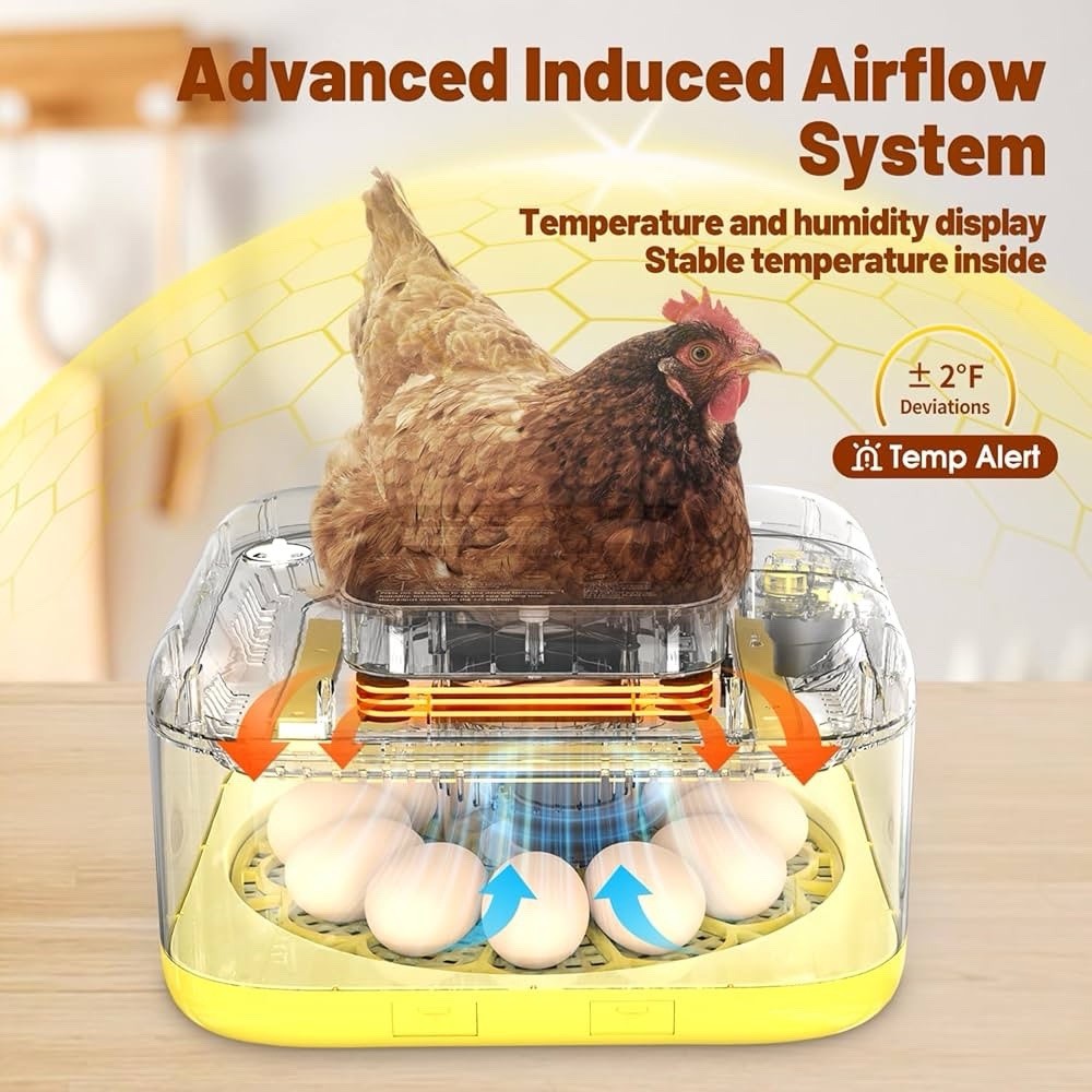 12 Eggs Incubator with Automatic Egg Turning Temperature