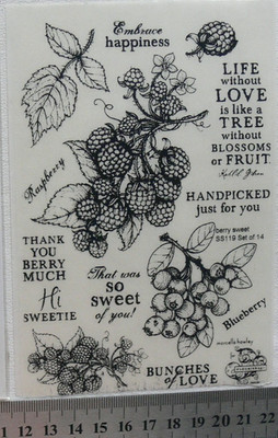 BERRY SWEET & WORDS Sweetness - 14 Clear Photopolymer STAMPS Flourishes SBox2H