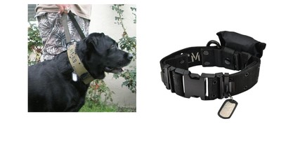 a1 k9 collar