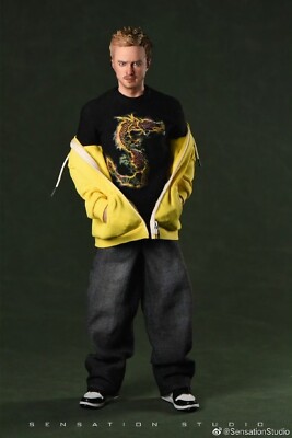 Breaking Bad Jesse Pinkman フィギュア　レア Breaking Bad Jesse Pinkman 6