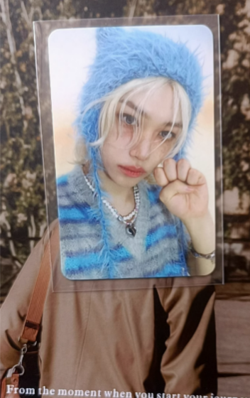 Stray Kids FELIX Plush Cat Paw Ver + Mini 9 Official Photocard PC