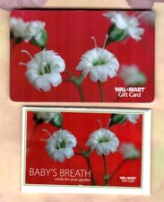 WALMART Baby's Breath Flowers  2008  Gift Card and Matching Seed Packet  0 