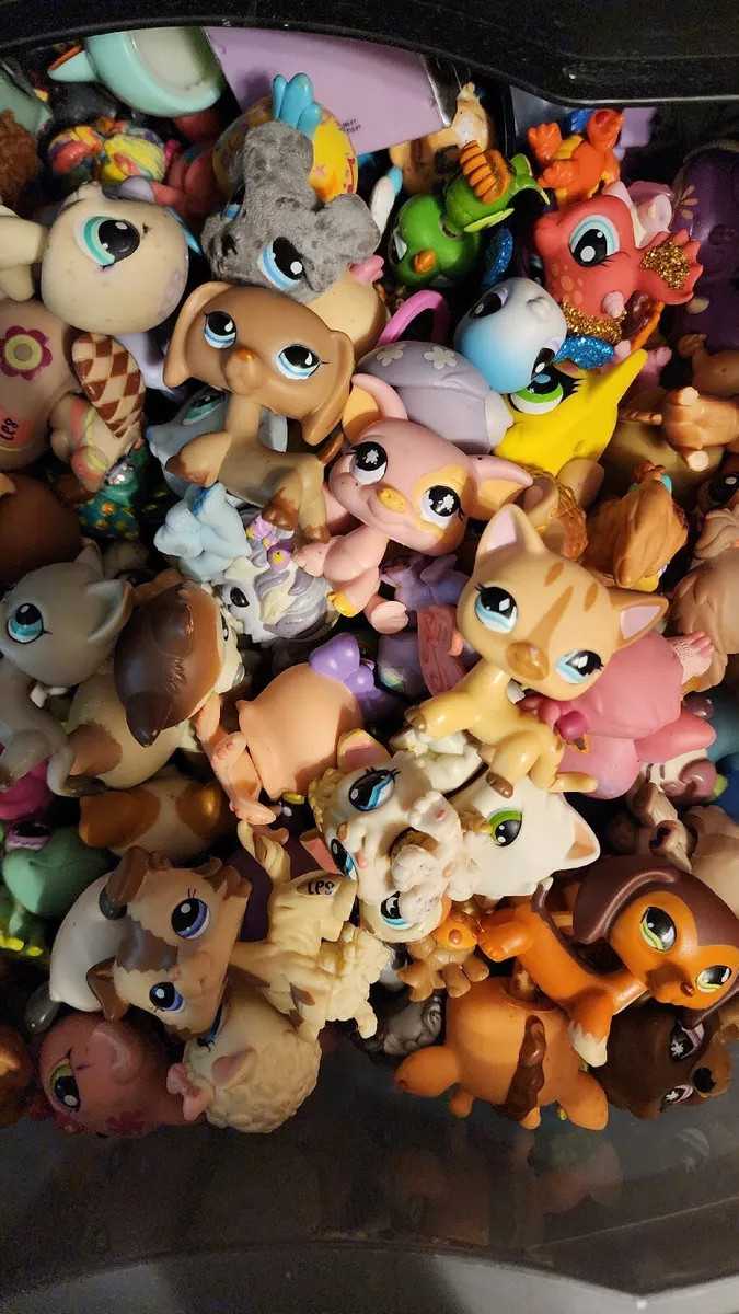 FIVE RANDOM LOT RARE LITTLEST PET SHOP MIXED CATS GRAB BAG | eBay