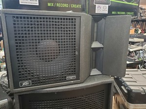 peavey versarray