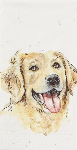Papiertaschentücher "Dog"