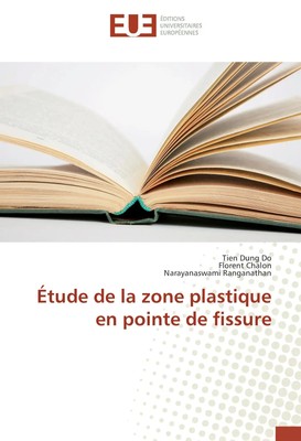 Tien Dung Do (u. a.) | Étude de la zone plastique en pointe de fissure | Buch