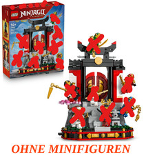 LEGO® Ninjago 71866 15-jähriges Jubiläum: Ninja-Charaktere | ohne Figuren