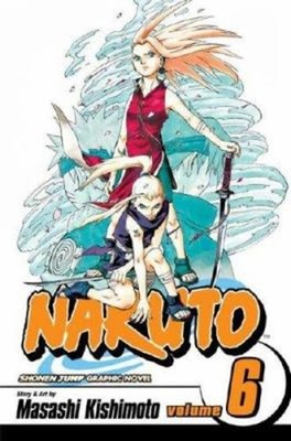 Naruto, Vol. 6 Paperback Masashi Kishimoto