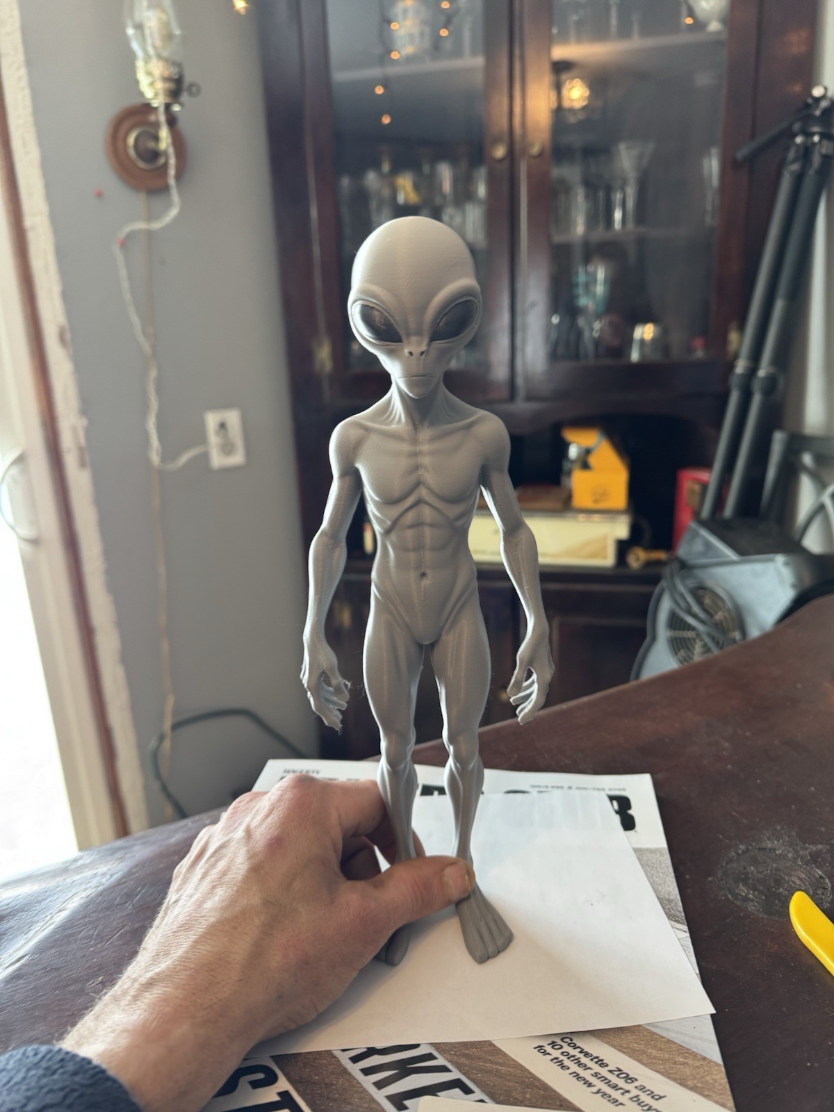 12&rdquo; Tall!  New Species!