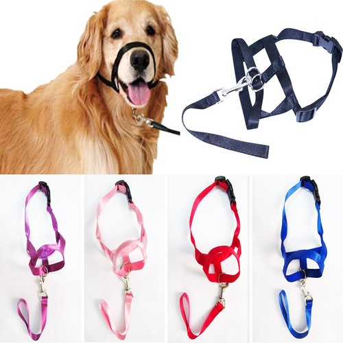 Nylon Dog Pet Head Collar Halter Leash Leader No Pull Bite Training Straps 5Siz❀ - Picture 1 of 17