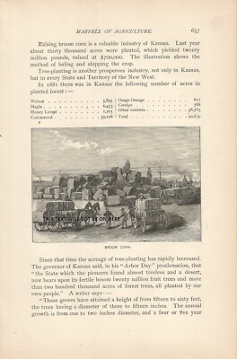 BESEN MAIS LANDARBEITER LANDWIRTSCHAFT 1887 ILLUSTRATIONSDRUCK