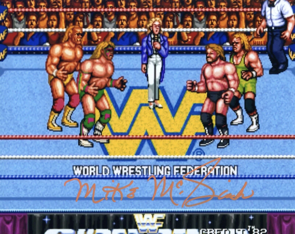 Wwe Wrestlefest Game