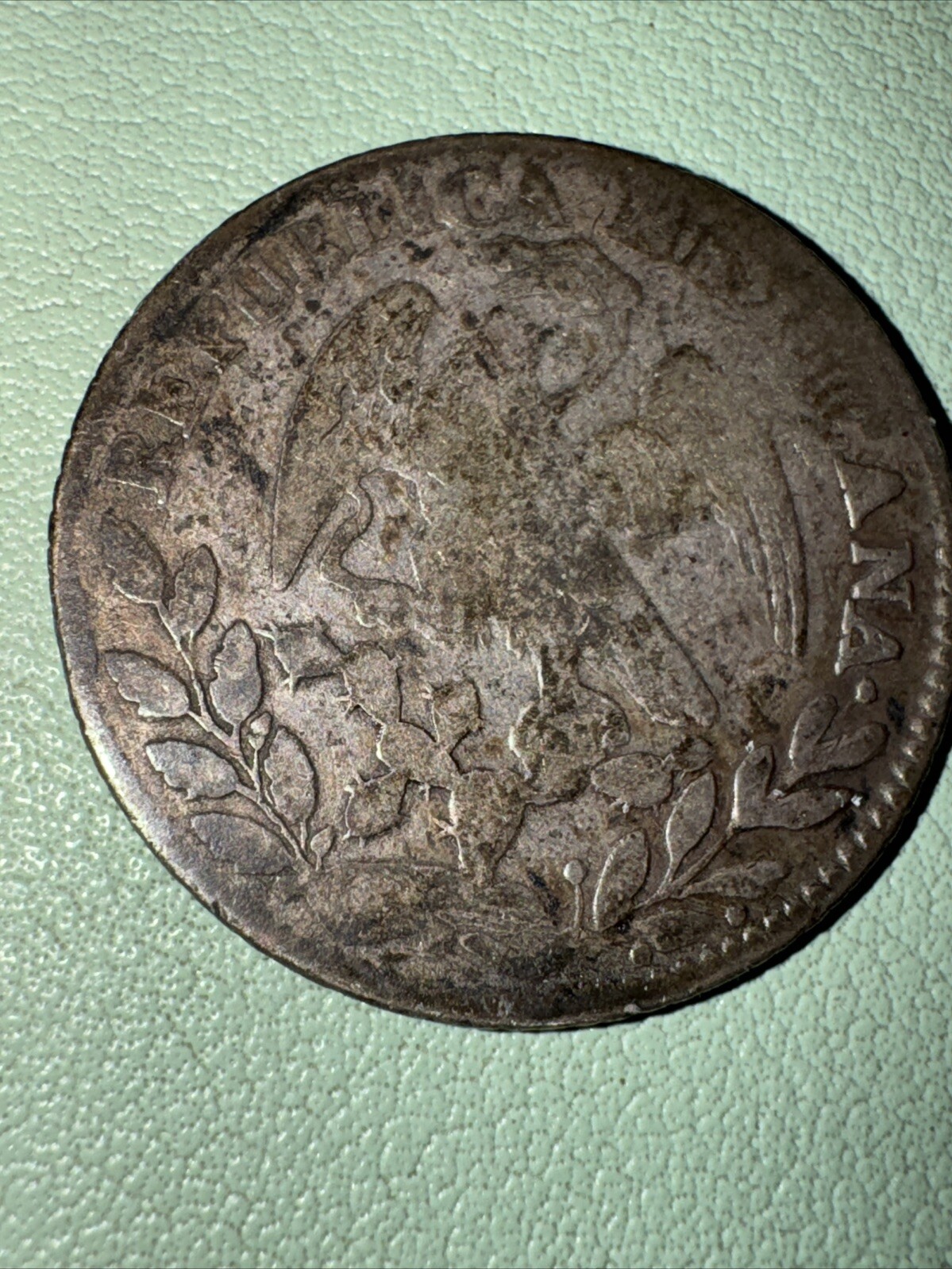 Picture 8 of 8