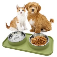 Stainless Steel Cat Bowls Set with Silicone Mat Double Cat Food Water Bowl
