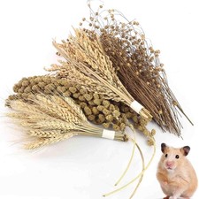 Natural Hamster Spray Set with Snacks, Chew Toys, Bedding for Small Pets