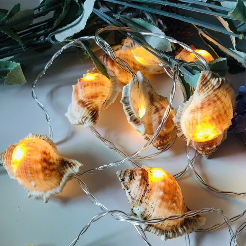 Outdoor Solar String Light for Patio Decor Seashell Ocean Real Conch String Ligh - Picture 3 of 15