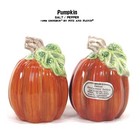 Fitz & Floyd Omnibus PUMPKIN 3.5" Salt & Pepper Set 2048/111 Harvest Fall 1994
