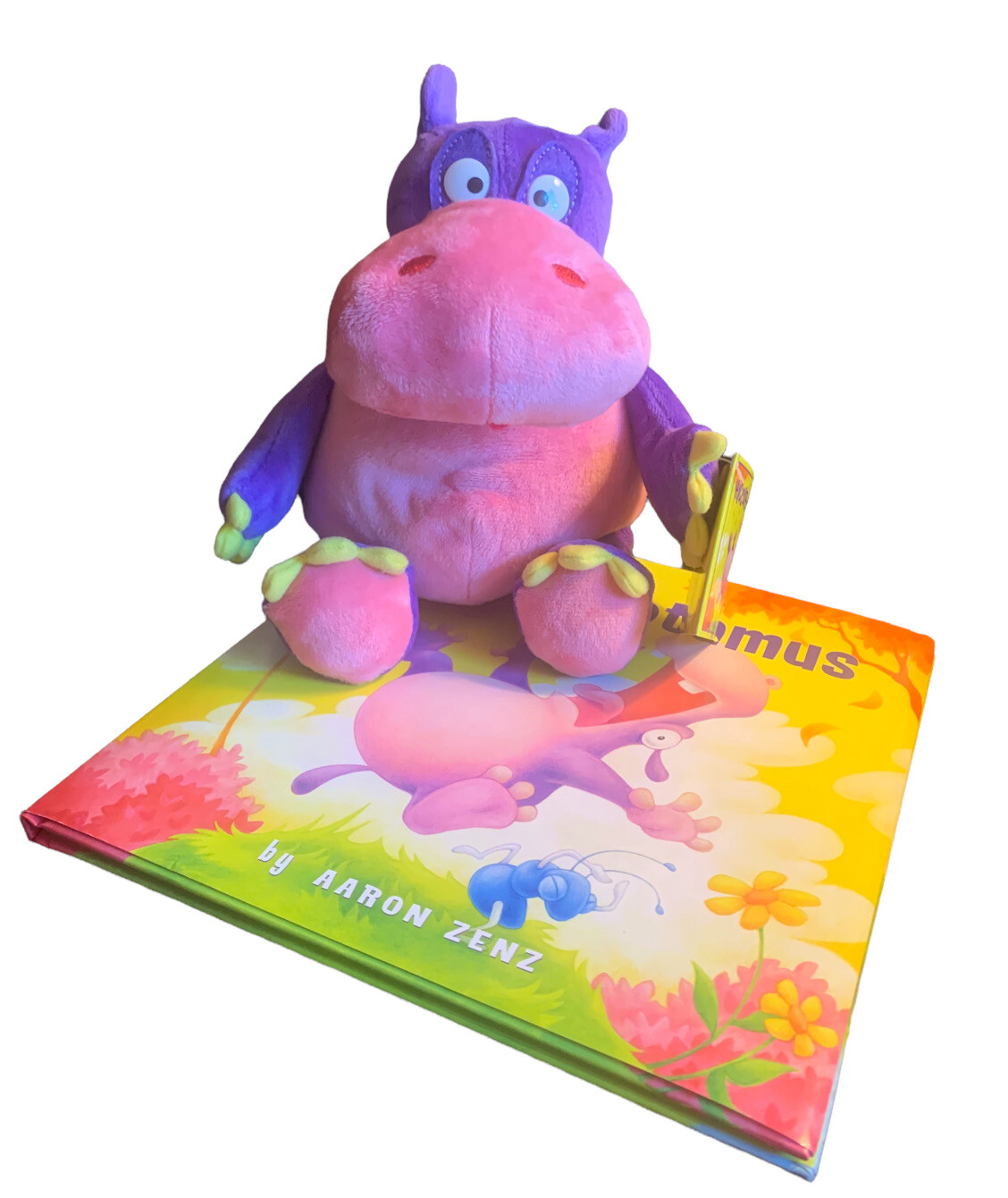 floppy flyer frisbee