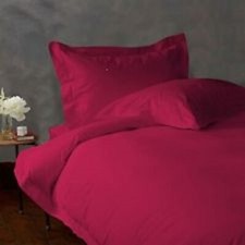 Queen Dark Pink Solid 4 Pc Bed Sheet Set 1000 Thread Count 100 Egyptian Cotton