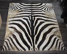 Real Zebra Hide Skin Pelt Square Zebra Taxidermy - READ DESCRIPTION