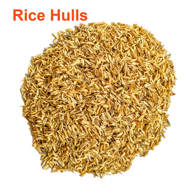Rice Hulls Natural Hydroponic Growing Media Chicken Bedding Rice Husks 25g-500g