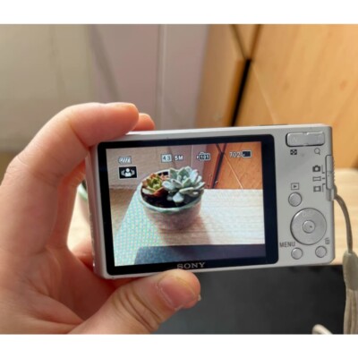 SONY DSC-W530 Digital Camera 14.1MP Maximum Resolution CCD Vintage