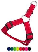 Country Brook Petz® Reflective Nylon Step-In Dog Harness