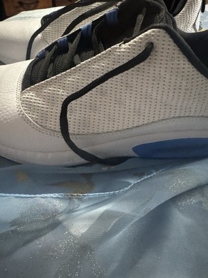 jordan phly legend low men white/metallic silver/blue/black 361168-101