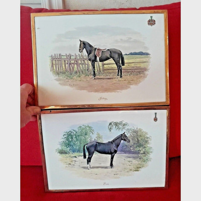 Antique Porcelain Horse Equestrian Wall Tiles Germany Y.R. Riedel York Berlin