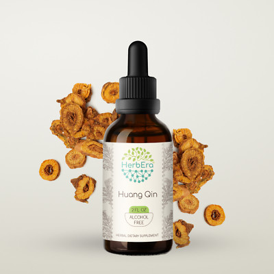 HerbEra Huang Qin Alcohol-FREE Herbal Extract Tincture