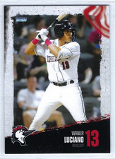 2025 Fayetteville Woodpeckers (Single-A Houston Astros) Waner Luciano