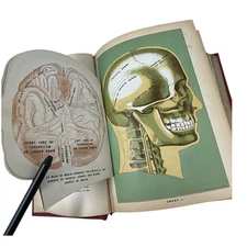 Library Of Health 1935 Edition Illustrated B Frank Scholl Embossed Cover