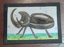 Original ACEO Beetle Drawing OOAK Colored Pencil Mini Art Card