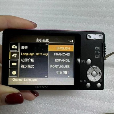 Sony DSC-W350 14.1MP Camera w/ Charger 4x Optical Zoom SteadyShot