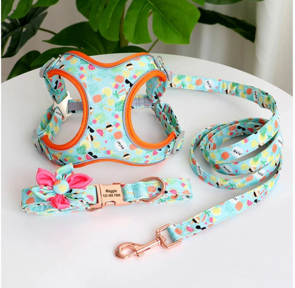 Dog Harness, Collar & Lead Summer Fun  Set