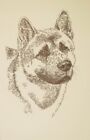 Akita Portrait - Rainbow Bridge Personalized Kline dog art lithograph. #14
