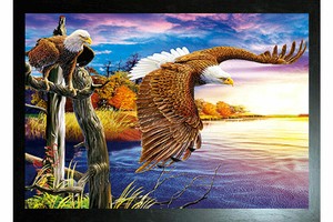 Negro Enmarcado Aguilas Volando 3d Eagle Imagen 425mm X 325mm Nuevo Ebay