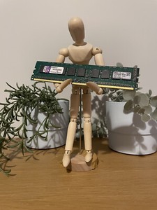 Micron 8GB 2Rx4 PC3L-10600R DDR3 Server RAM Modul REG ECC MT36KSF1G72PZ-1G4M1FI