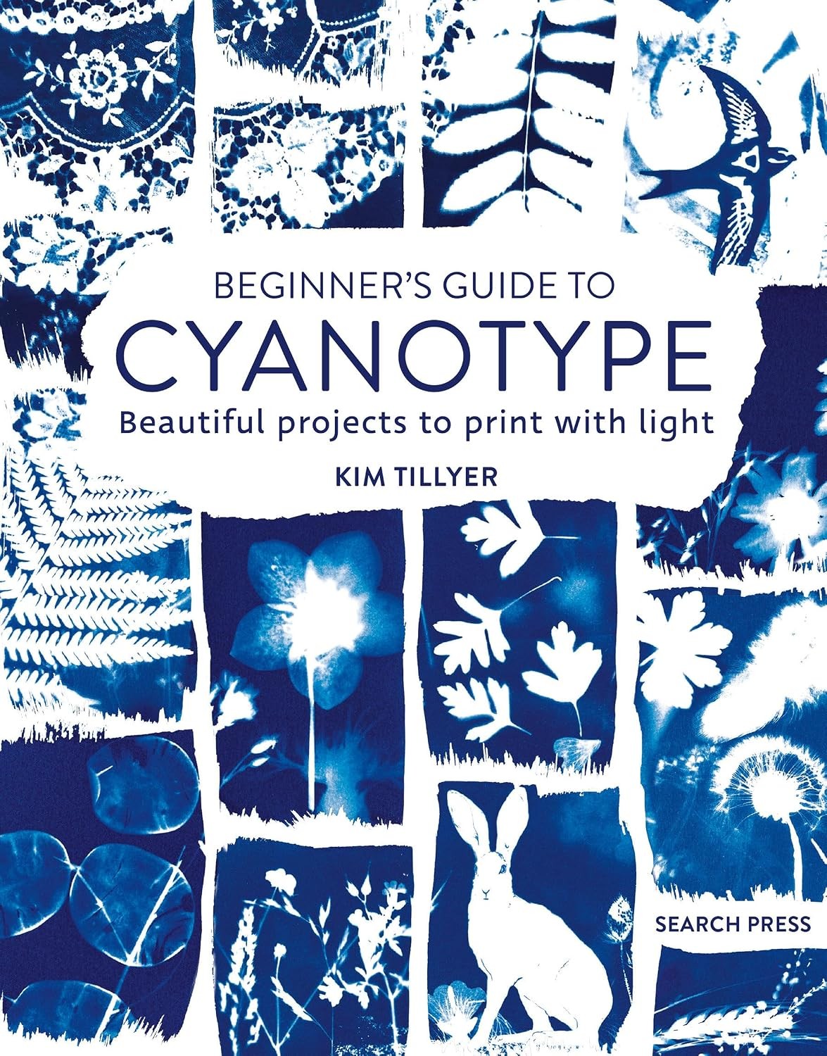Beginners Guide to Cyanotype: Beautiful projec. Tillyer** - Image 3